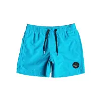 Nowość już dostępna - Quiksilver Everyday Solid Volley Youth