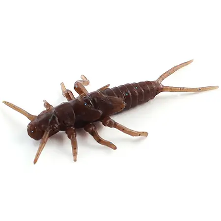 STONEFLY - CHAOS - 2,1cm | Prosto z fabryki