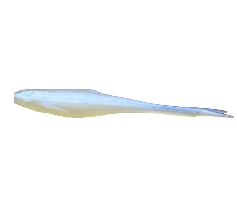 KIEŁB JASKÓŁKA - 6cm | Prosto z fabryki