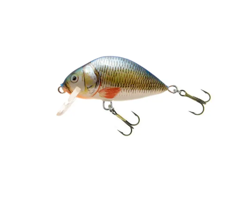 LAKE - F - B - 7cm - Premium