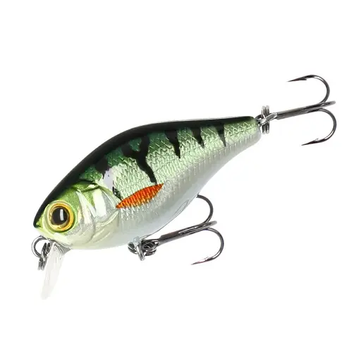 Nowość w sklepie - BOLD HEAD - 4cm