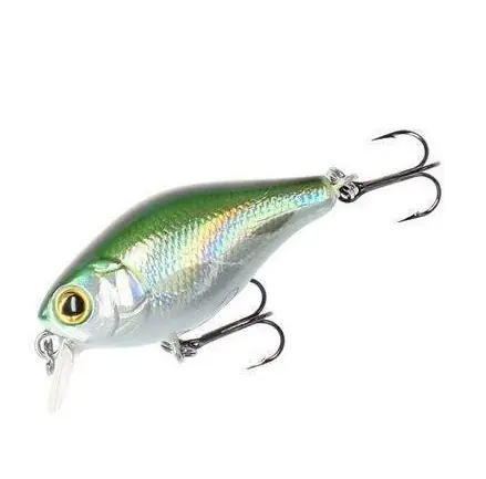 BOLD HEAD - 4cm | Szybka wysyłka