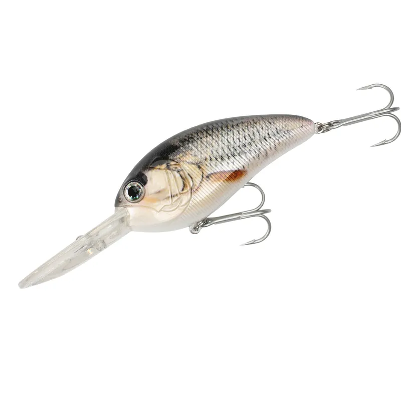 SUTINGU - 7cm | Produkt wysokiej jakości