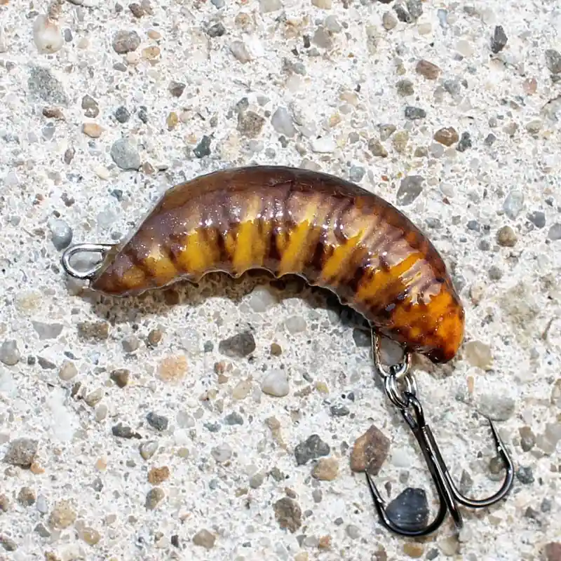 Zamów online - ROBAL - BRĄZOWO ŻÓŁTY - S - 3,5cm