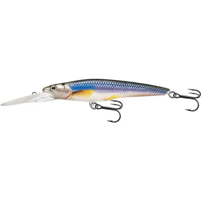 Nie zwlekaj | RAINBOW SMELT - SILVER BLUE - 7cm