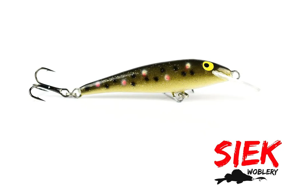 Jakość premium | WOBLER SIEK UKLEJA IGŁA 6cm - 20