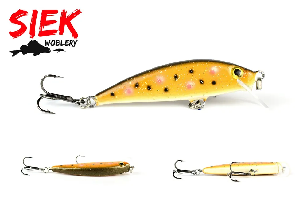 Końcówka serii | WOBLER SIEK SKIPER 5cm - 74