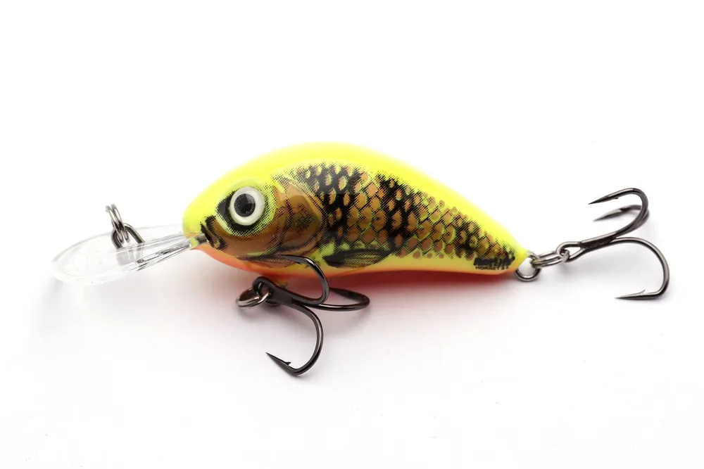 UNIKATOWY WOBLER SALMO RATTLIN HORNET F 5,5cm - GOLD FLUO PERCH - Nowość już dostępna