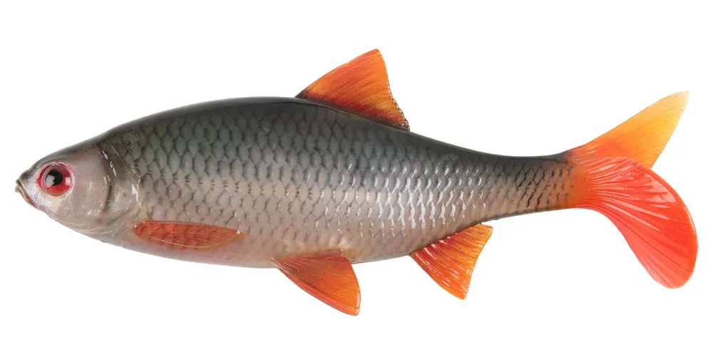 GUMA FOX RAGE ULTRA NATURAL 14cm - ROACH - Oferta specjalna